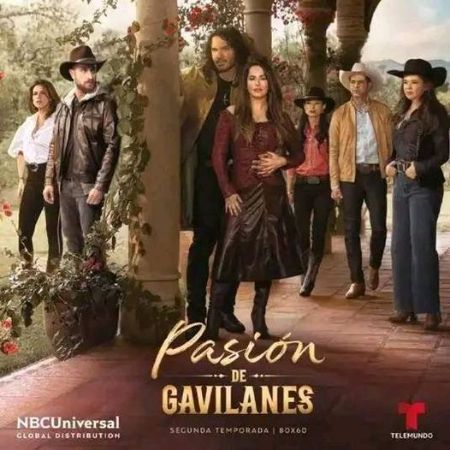 Movie poster of the Movie 'Pasión de gavilanes.'